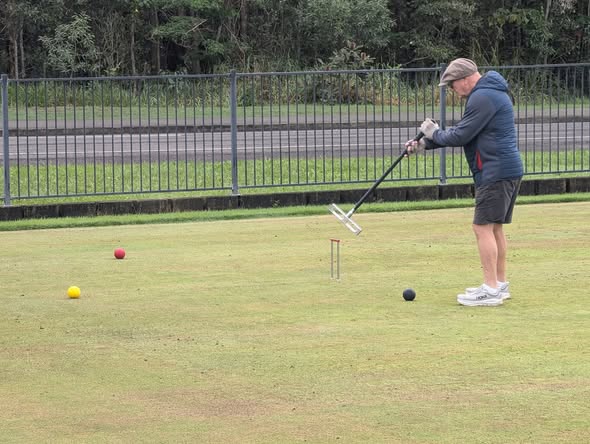 A man in a blue jacket and cap stands on a croquet lawn holding a mallet near a hoop and colored balls