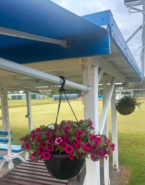 A hanging basket of pink petunias under a blue-roofed croquet club shelter on a grassy field